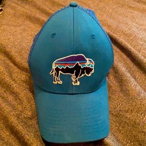 Patagonia Buffalo Blue Cap